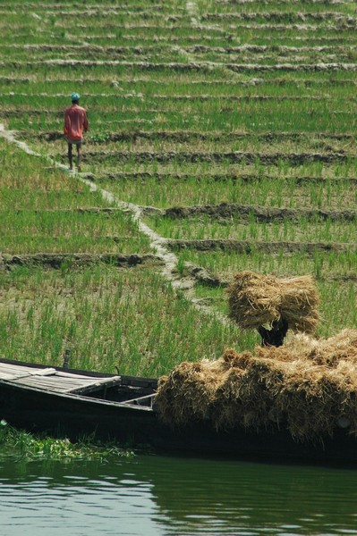 Rajshahi, nad brzegiem rzeki Padma (Bangladesh 2008)